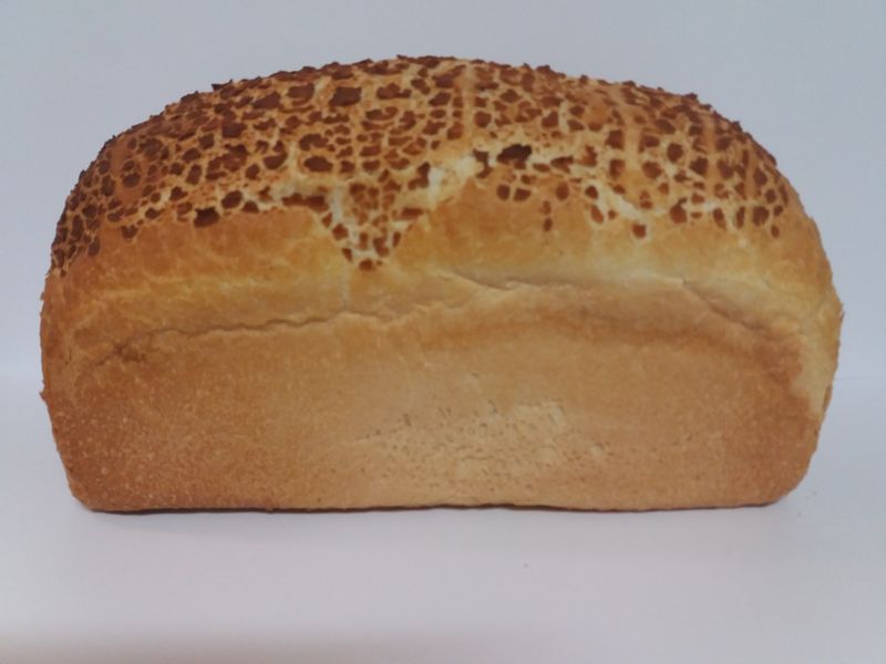 Tijger wit