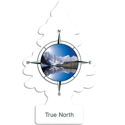 LITTLE TREES TRUE NORTH