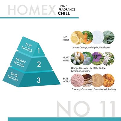 HOMEX #11 CHILL AIR FRESHENER 300ML