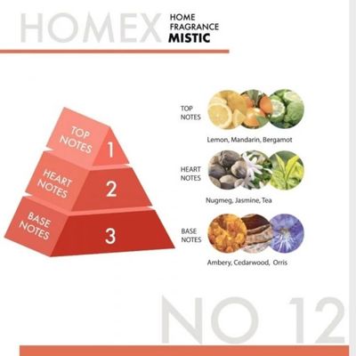 HOMEX #12 MISTIC AIR FRESHENER 300ML