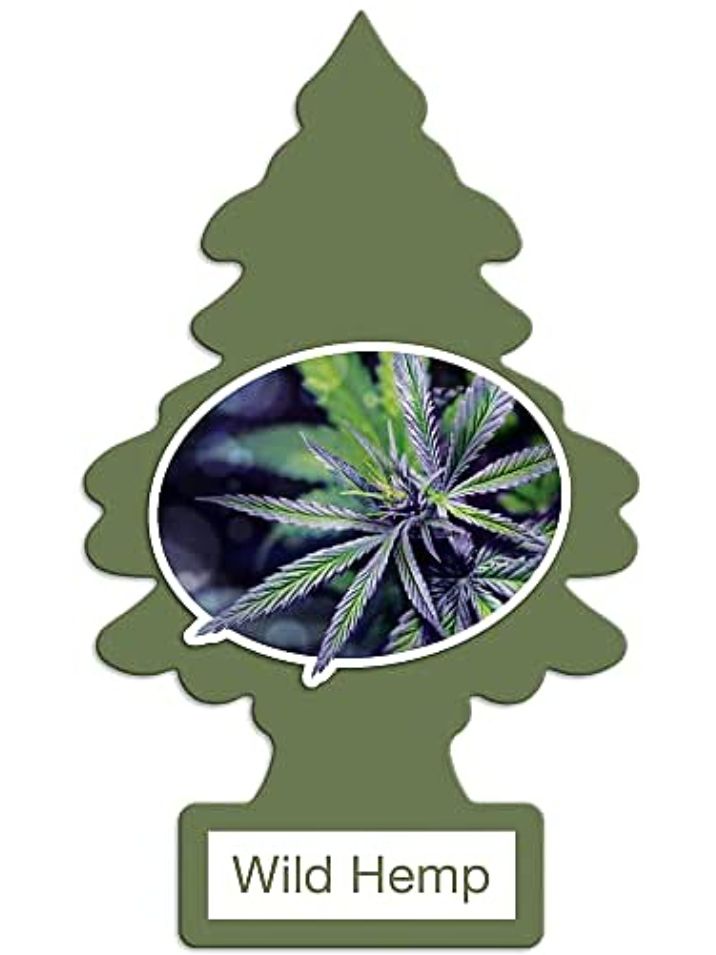 LITTLE TREES WILD HEMP