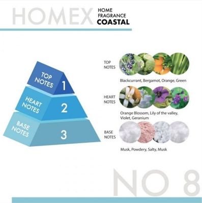HOMEX #08 COASTAL AIR FRESHENER 300ML