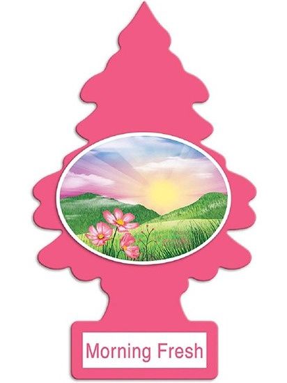 LITTLE TREES MORNING FRESH