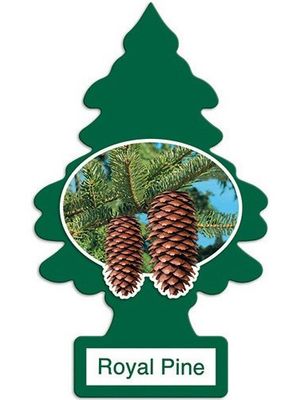 LITTLE TREES ROYAL PINE