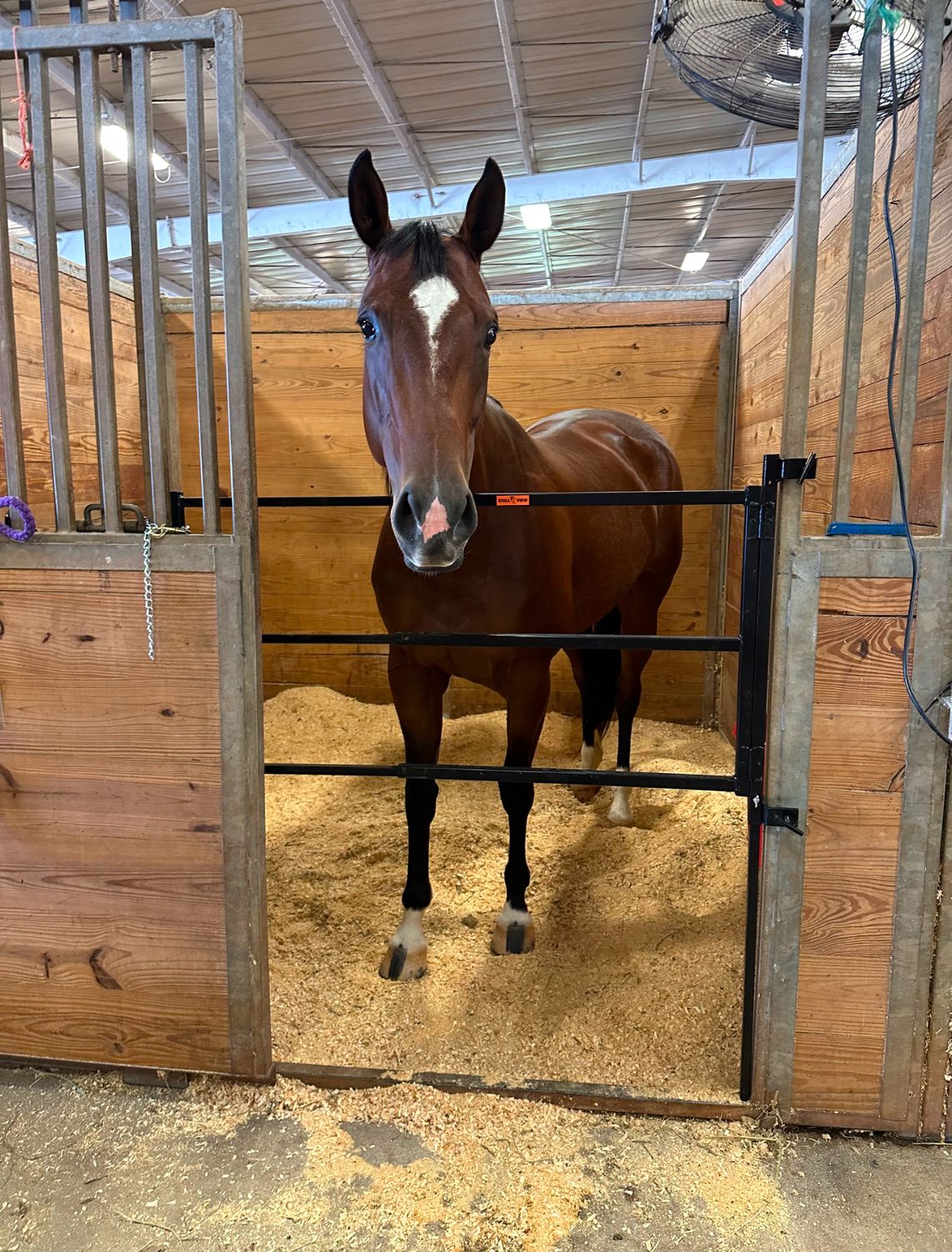 Stall View