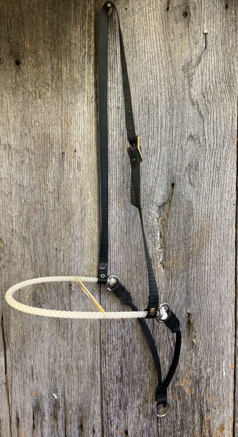 #306 Rope nose 2 piece tiedown