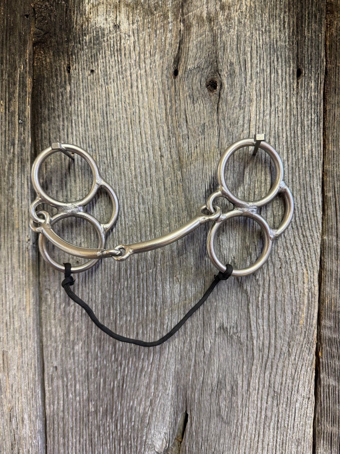 ​​​#710 The Fly Bit