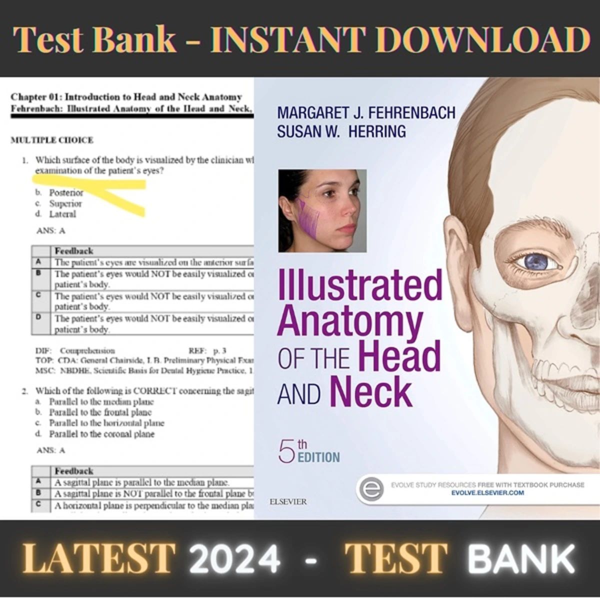 test bank  Illustrated Anatomy of the Head and Neck 5th Edition Fehrenbach Test Bank
