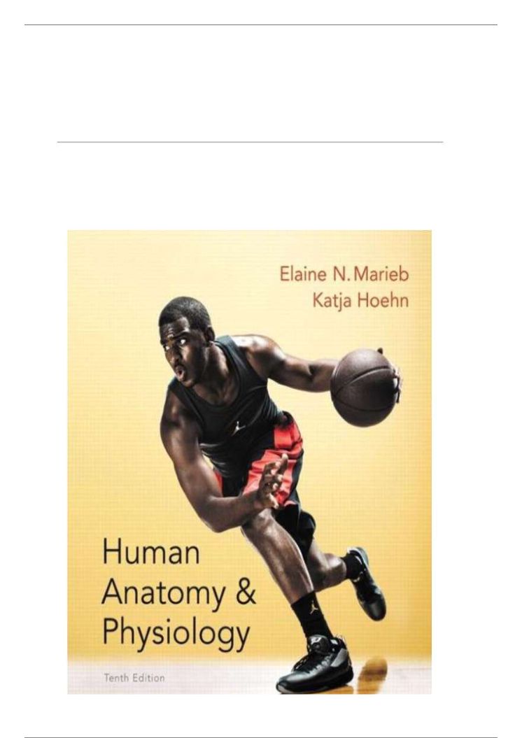 TEST BANK HUMAN ANATOMY AND PHYSIOLOGY 10th Edition by Elaine N. Marieb