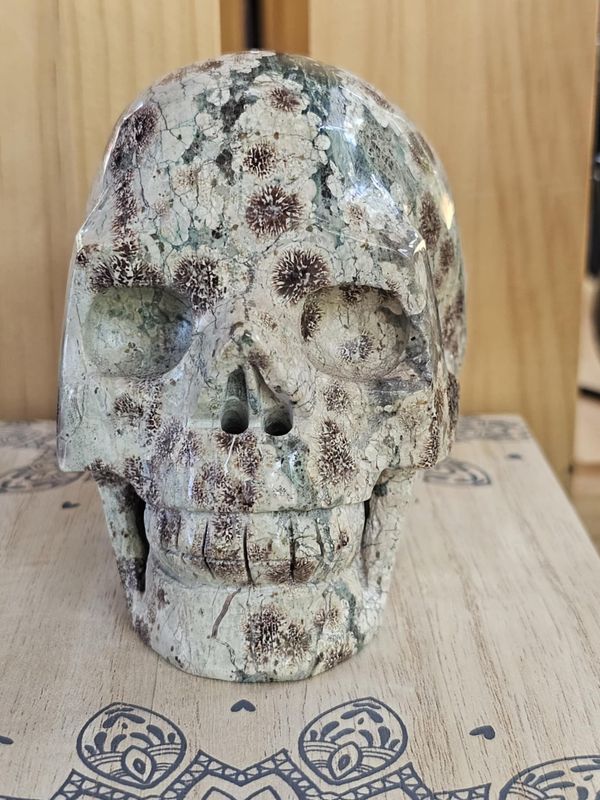 Skull - Ocean Jasper