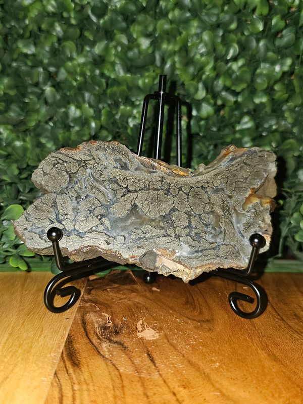 Pyrite and Agate Slice