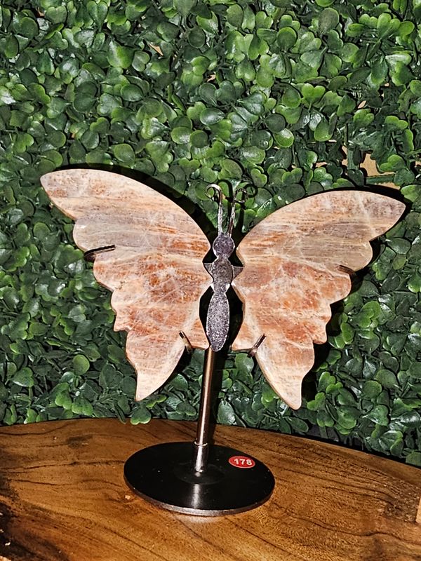 Butterfly Wings Peach Moonstone