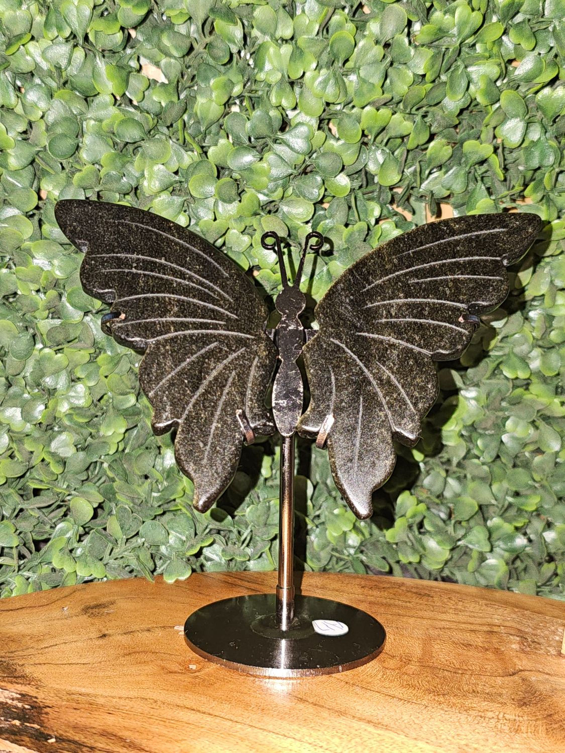 Butterfly Wings Gold Sheen Obsidian