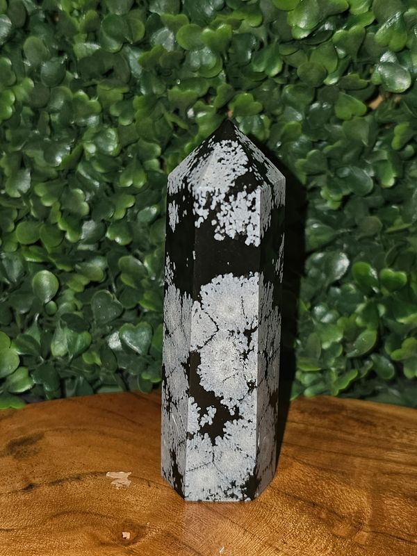 Snowflake Obsidian Tower