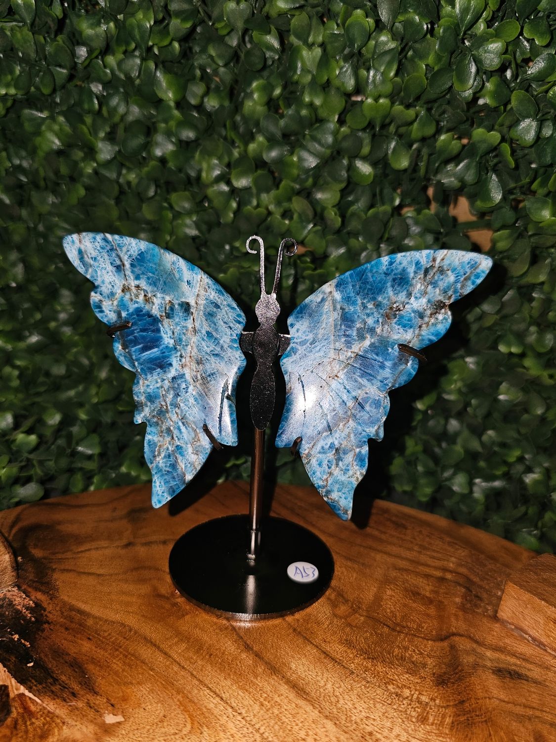 Butterfly Wings Blue Apatite