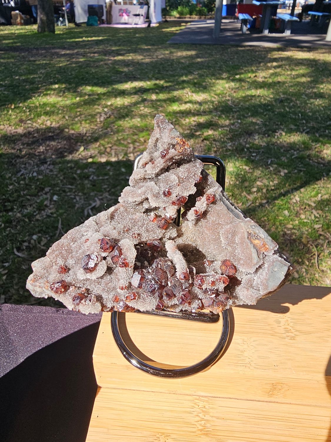 Garnet Specimine with stand