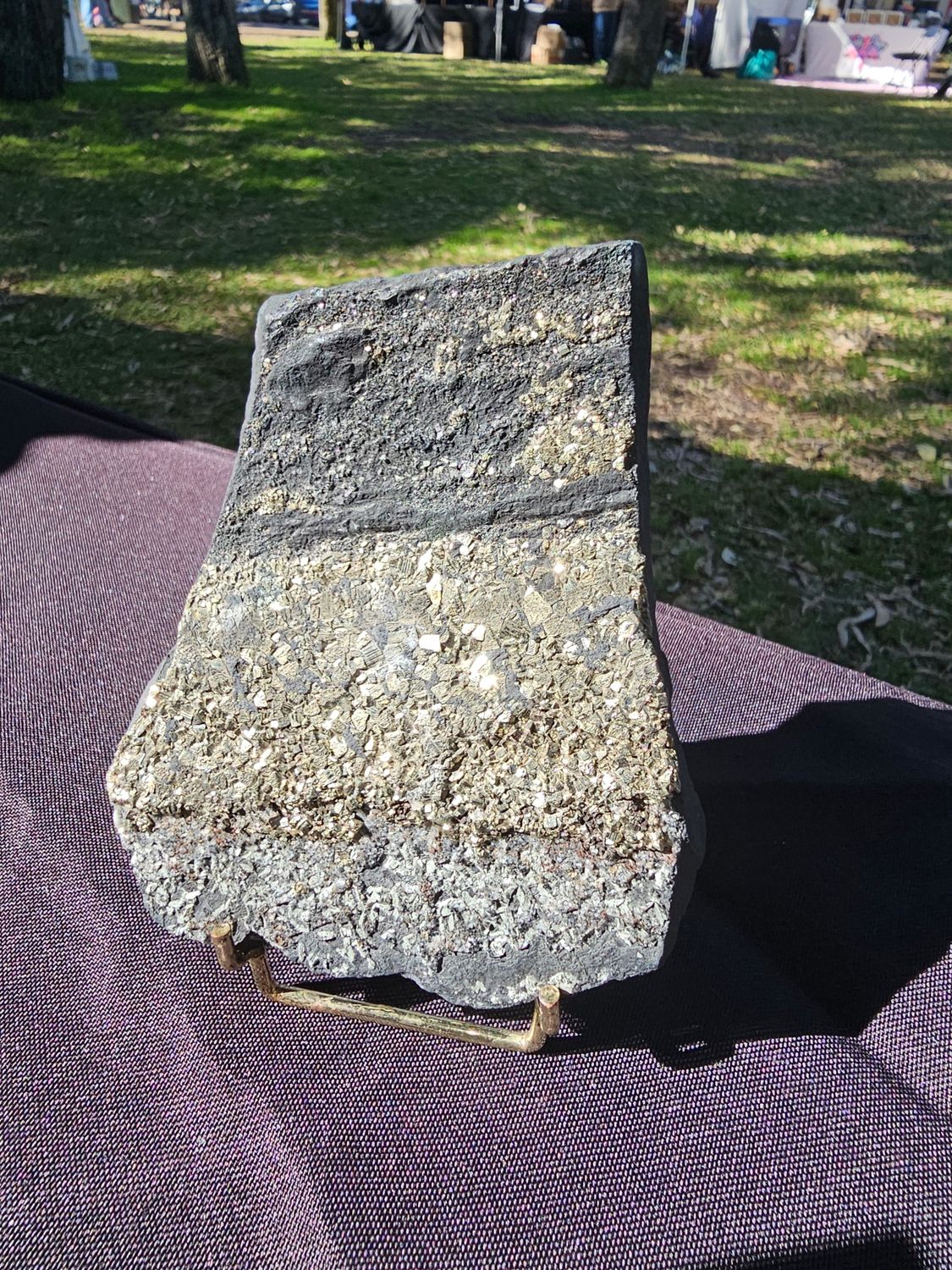 Pyrite on Shungite