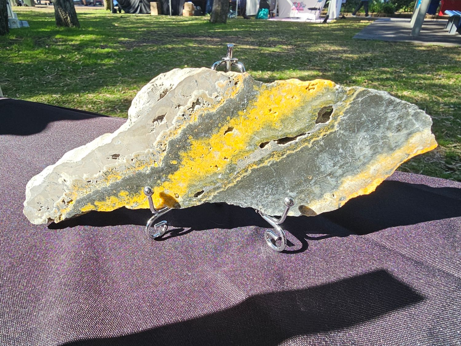 Bumble Bee Jasper Slab