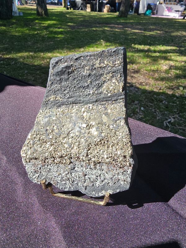 Pyrite on Shungite