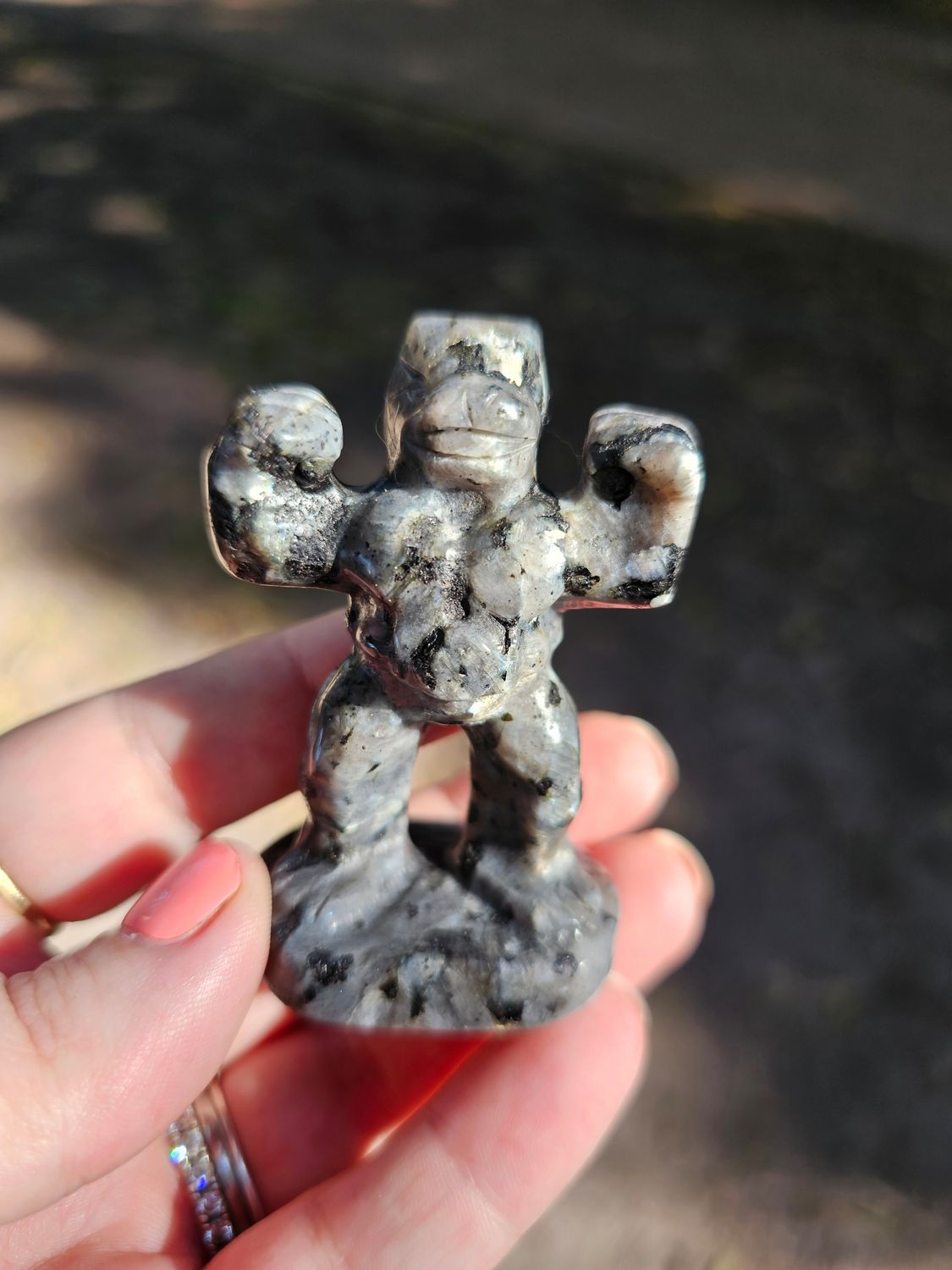 Pokemon - Machoke