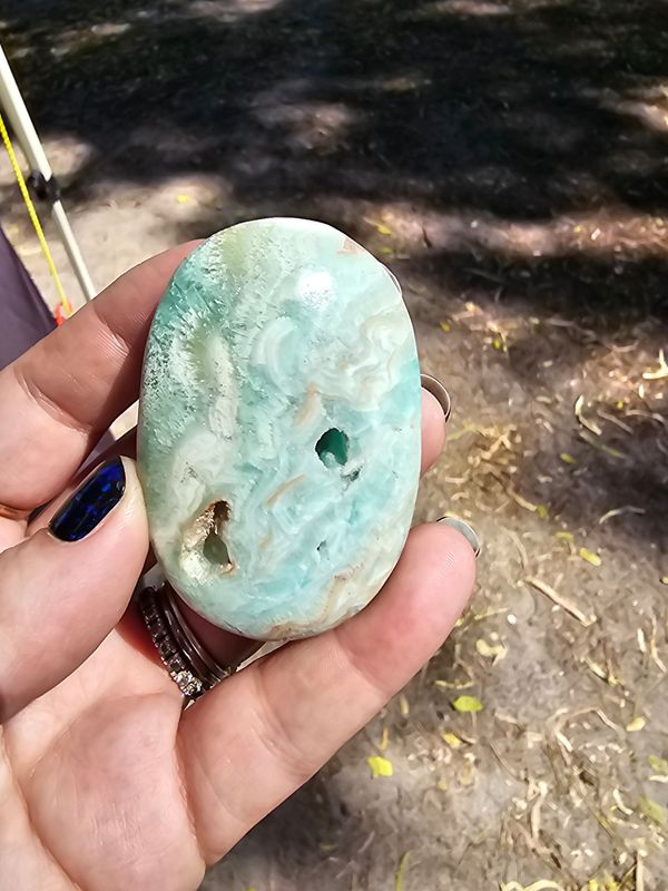 Caribbean calcite palm stone