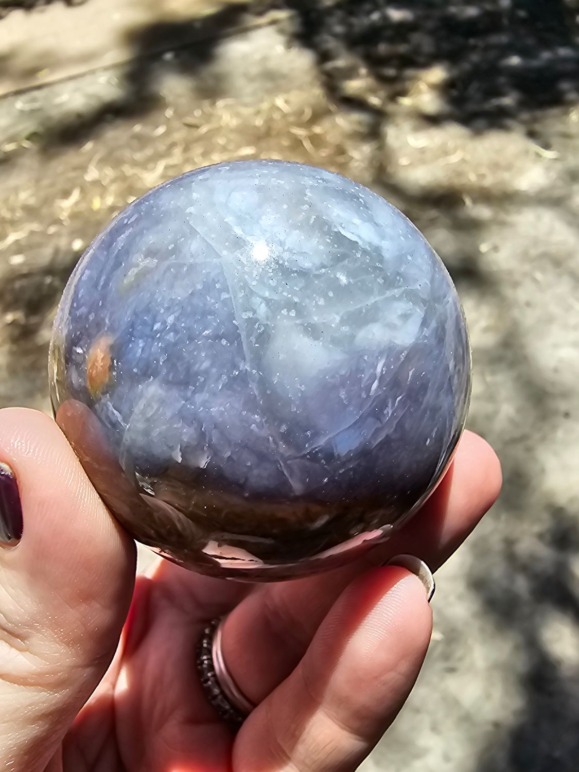 Sphere petrified red sandalwood