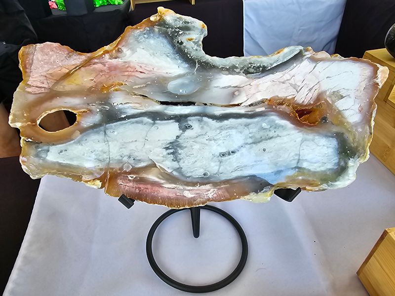 Petrified Red Sandalwood Dlab