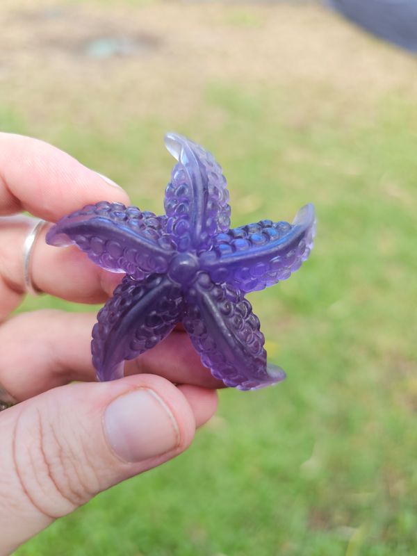 Fluorite starfish