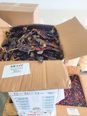 CHILE GUAJILLO