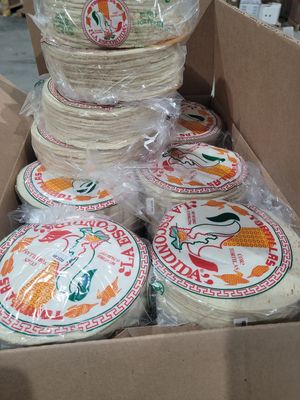 Regular Tortilla Case