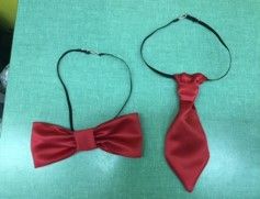 Noeud papillon et cravate avec élastique / Bow tie and tie with elastic band