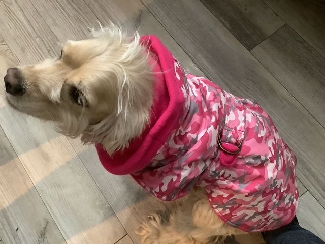 Manteau camouflage rose / Pink camouflage coat