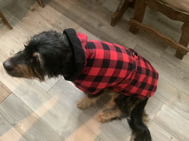 Manteau en flanelle à carreaux / Check flannel coat.