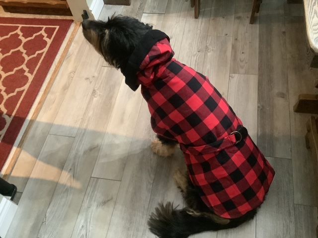 Manteau en flanelle à carreaux / Check flannel coat.
