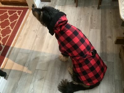 Manteau en flanelle à carreaux / Check flannel coat.