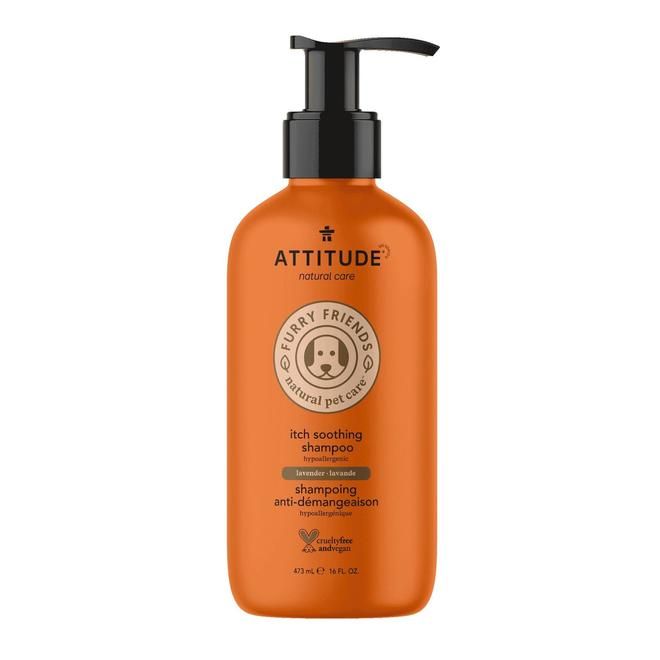 Shampoing apaisant Lavande / Soothing Lavender Shampoo