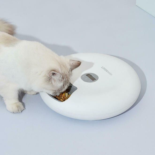 Distributeur automatique/ Automatic food dispenser