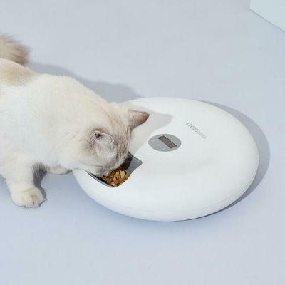 Distributeur automatique/ Automatic food dispenser