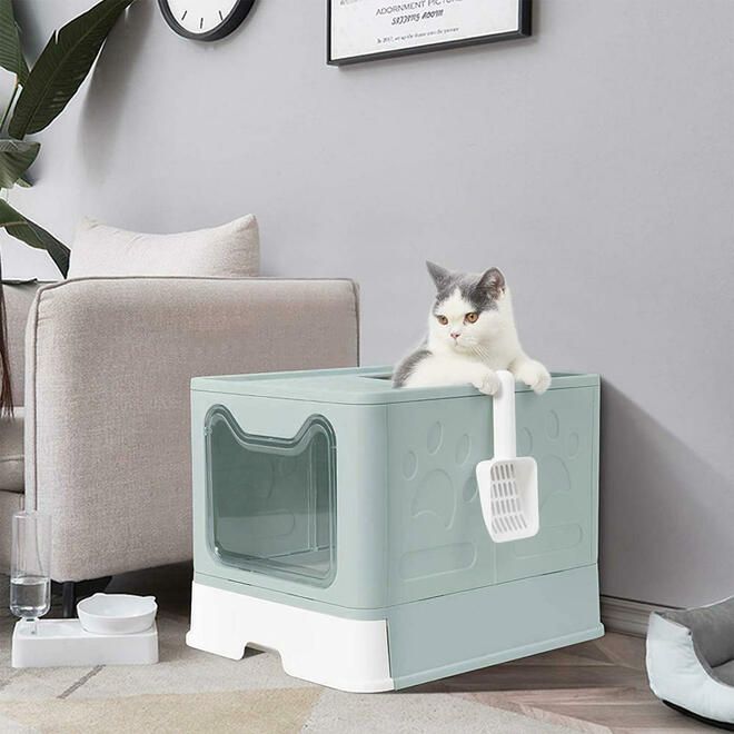 Two-way litter tray
