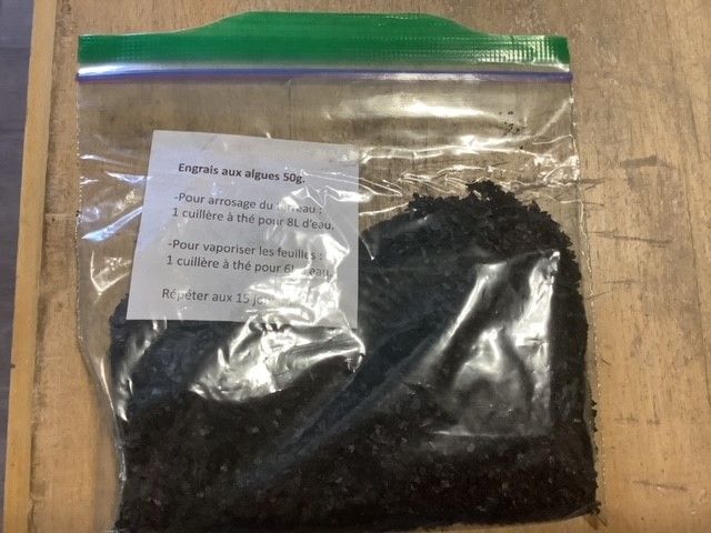 Engrais aux algues / Seaweed fertilizer