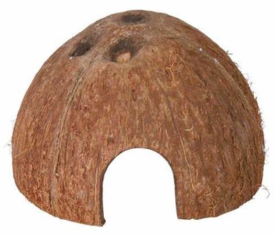 Hutte noix de coco / Coconut hut