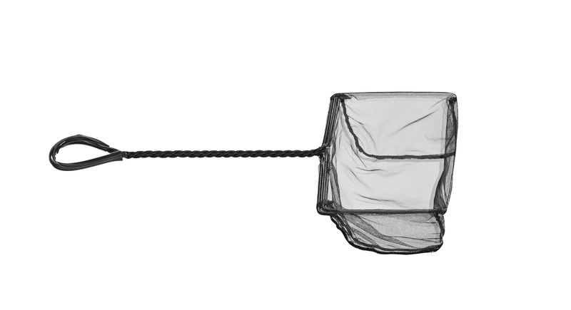 Épuisette à poisson / Fish scoop.