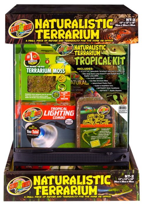 Terrarium avec kit tropical / Terrarium with tropical kit