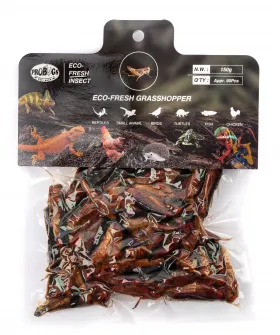Sauterelle en conserve Pro Bugs / Pro Bugs canned grasshoppers
