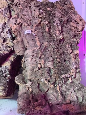 Écorce de liège naturel plat / Flat Natural cork bark.