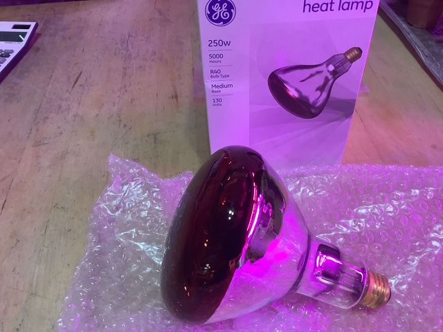 Red heat bulb 250w