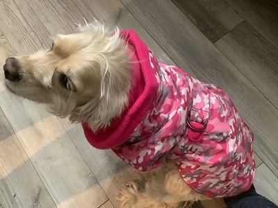 Clothing and accessories
