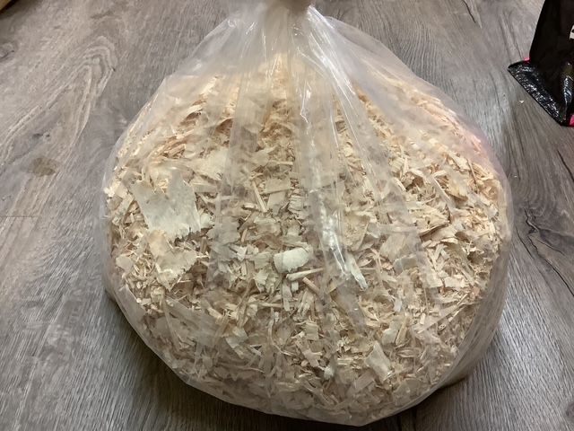 Copeau de bois pour rongeur / Wood chips for rodents