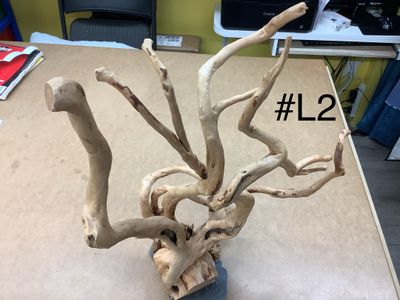 Aquarium or terrarium wood branch with slate at the base. Large