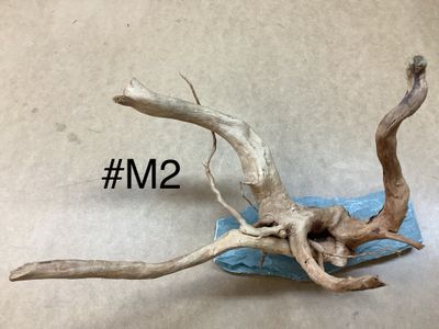 Aquarium or terrarium wood branch with slate at the base. Medium